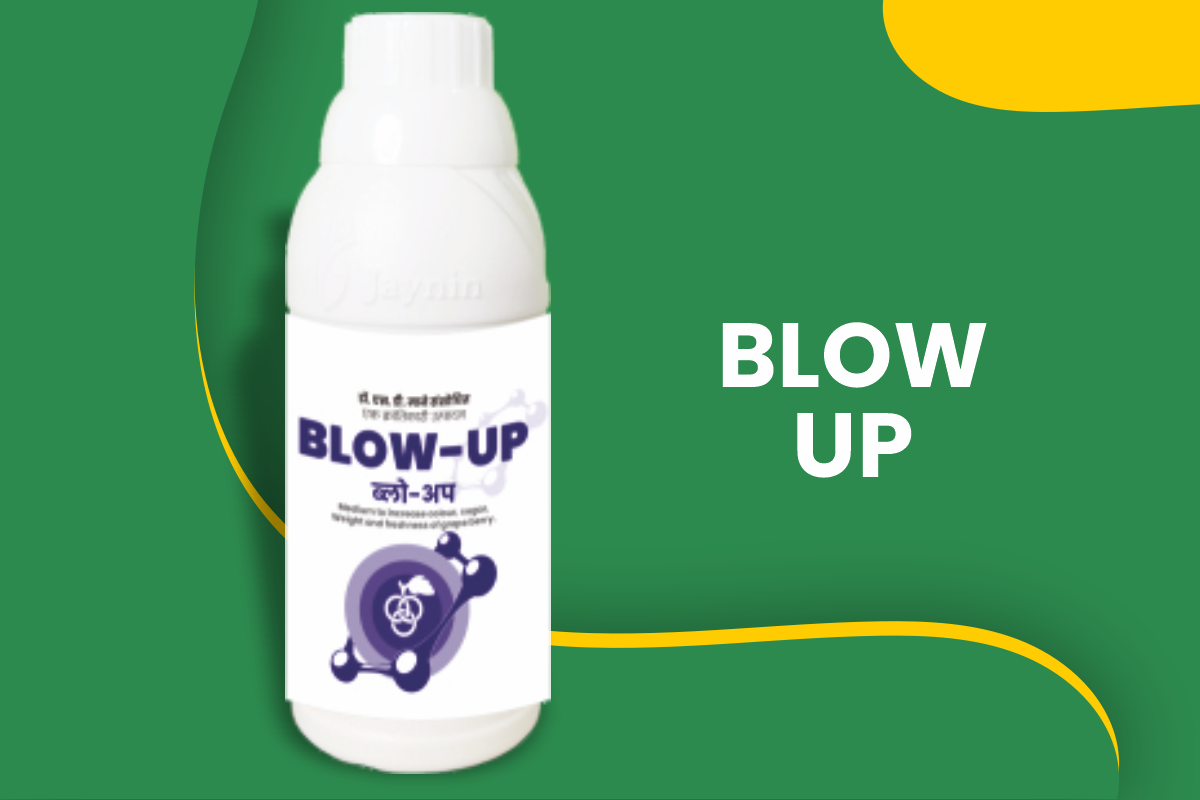 Blow-up